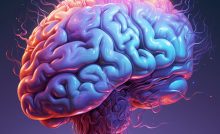 ľudský mozog štúdia novinka