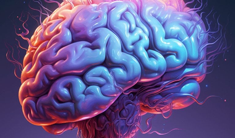 ľudský mozog štúdia novinka