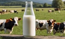 mlieko cena mlieka mliekarenský priemysel