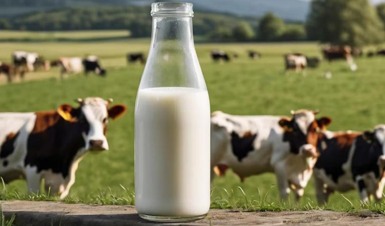 mlieko cena mlieka mliekarenský priemysel