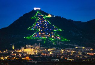 vianočné stromčeky vianoce