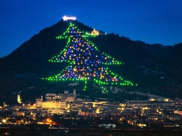 vianočné stromčeky vianoce