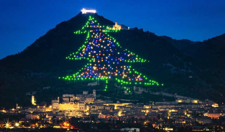 vianočné stromčeky vianoce