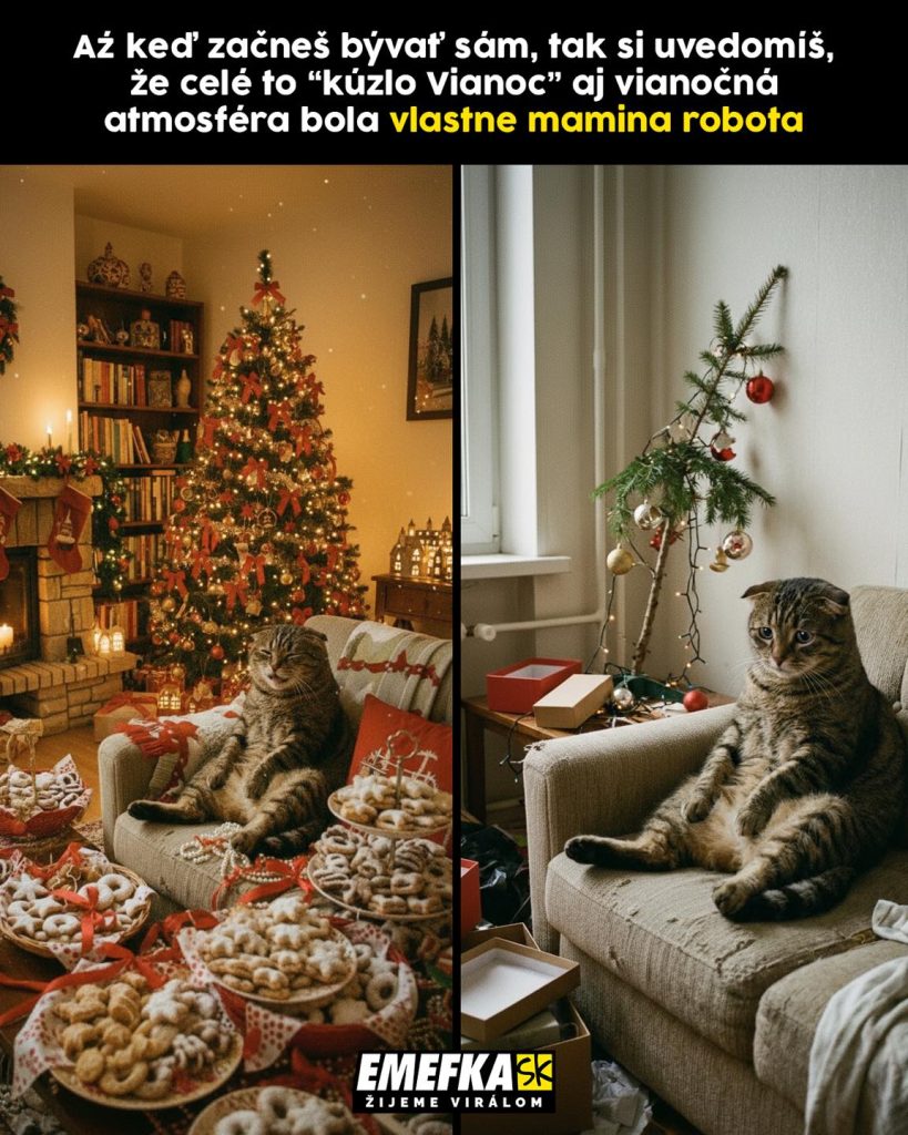 Prinášame ti ďalšiu epizódu seriálu 10 najlepších memes uplynulého týždňa. Minulotýždňové zhrnutie memes z produkcie EMEFKA je tu.