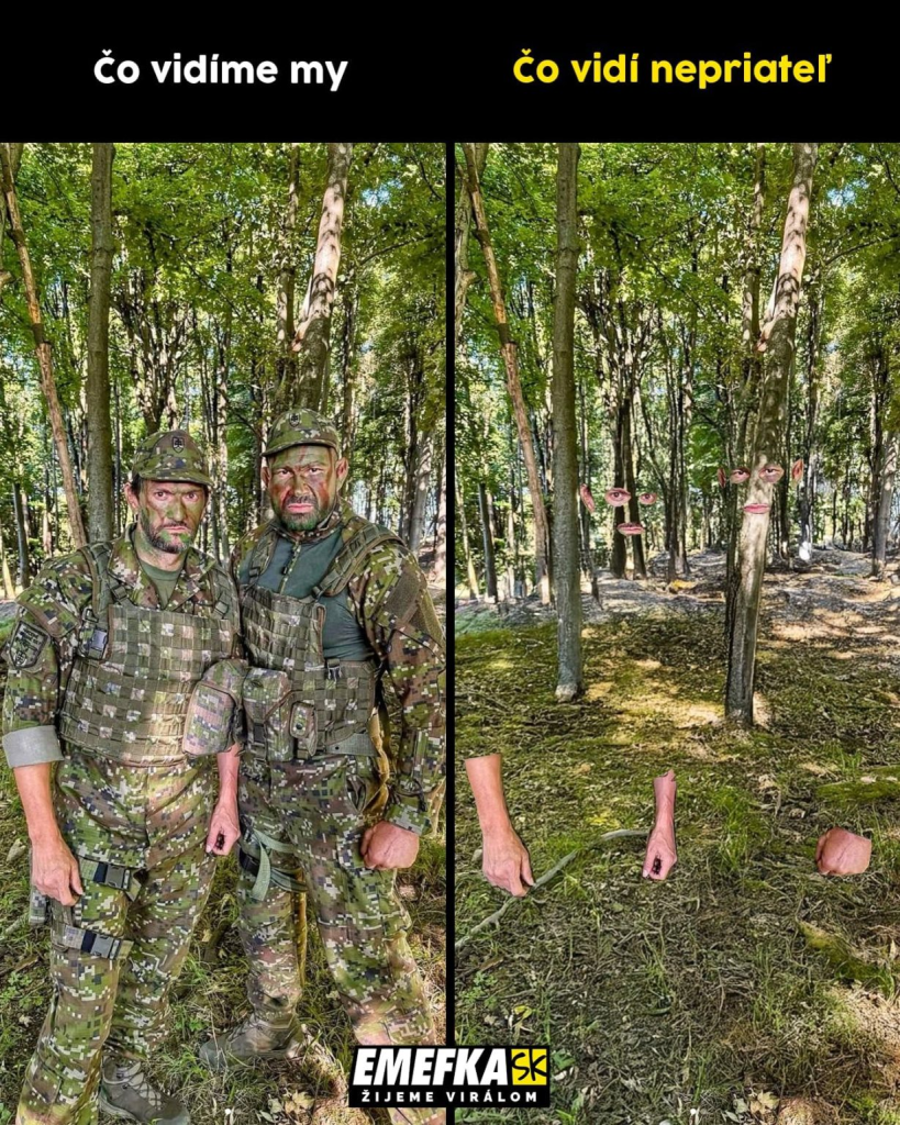 Aj tento rok sme pripravili zhrnutie top memes. Najlepšie memes roka sme z obrovského množstva kandidátov vyberali naozaj dlho!