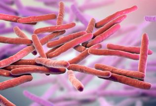 lepra prvé prípady slovensko zahraničie rumunsko chorvátsko choroba nákaza