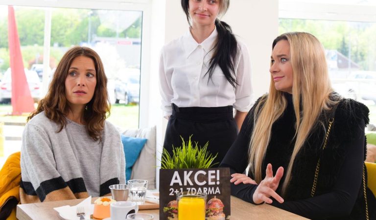 Denník šopaholičky