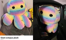 očakávania vs realita