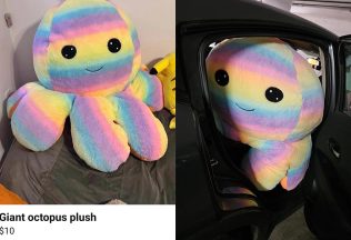 očakávania vs realita