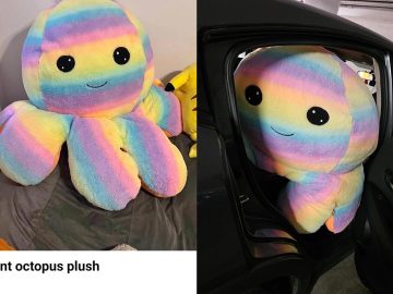 očakávania vs realita