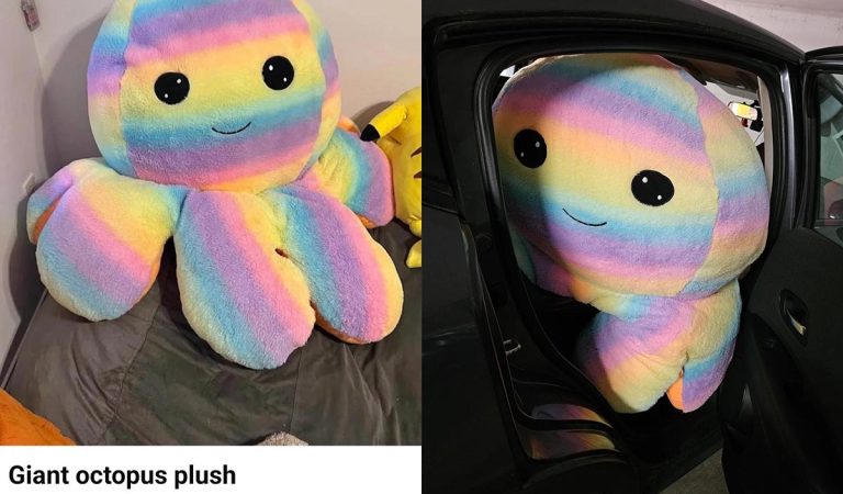 očakávania vs realita