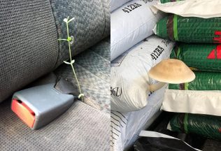 rásť na nečakaných miestach