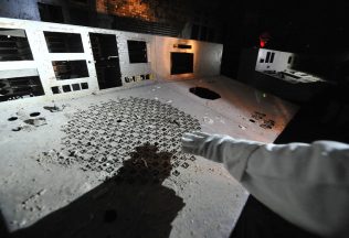 radiácia černobyl pleseň nový objav