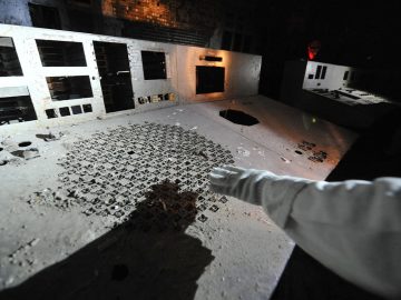 radiácia černobyl pleseň nový objav