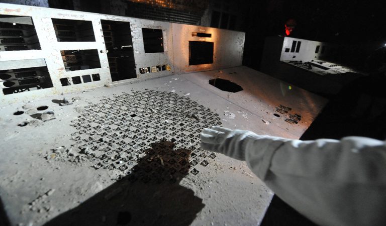 radiácia černobyl pleseň nový objav