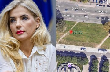 Po Dankovom semafore sa v Bratislave objavil ďalší „monument“: Predstavujeme ti Sad Martiny Šimkovičovej