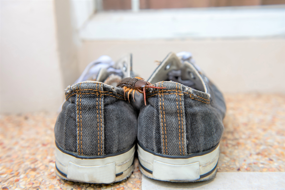 Komické príhody, ktoré dokazujú, že karma si ťa nájde