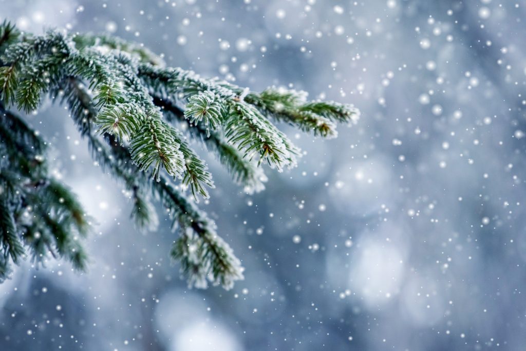 Vianoce, rok 2025, sneh, počasie, News, Slovensko