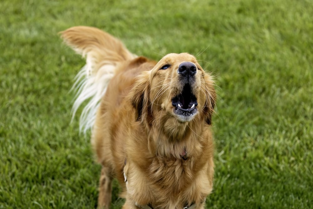 Šialené spôsoby, ako ľudia prišli k veľkým peniazom