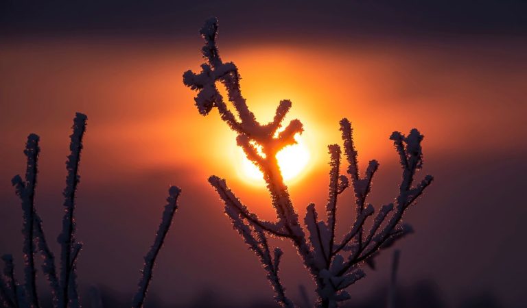 Prichádza magická noc: Už zajtra sa zlomí tma, ktorú posledné mesiace prežívajú všetci Slováci