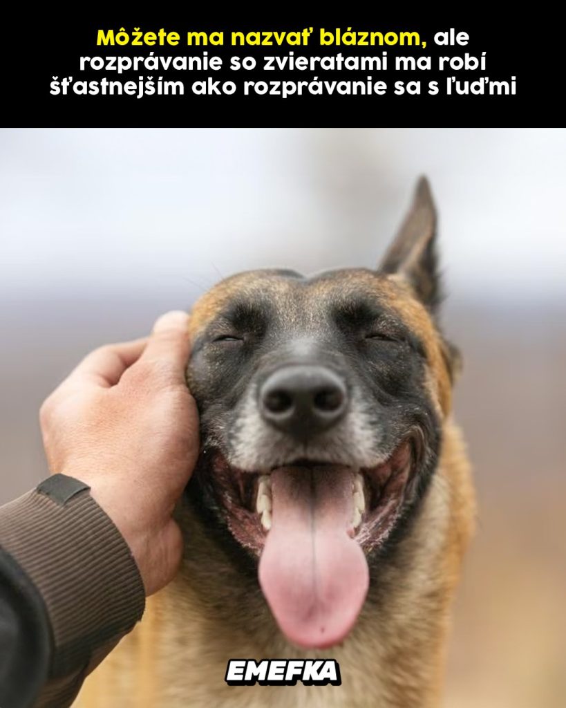 Prinášame ti ďalšiu epizódu seriálu 10 najlepších memes uplynulého týždňa. Minulotýždňové zhrnutie memes z produkcie EMEFKA je tu.