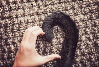 chvost človek ľudské chvosty vedec