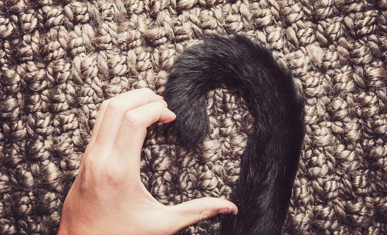 chvost človek ľudské chvosty vedec