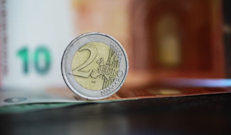 Biznis roka? Slovák si pýta za svoju zbierku dvojeurových mincí 1 550 eur