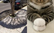 esteticky príjemné fotografie