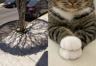 esteticky príjemné fotografie