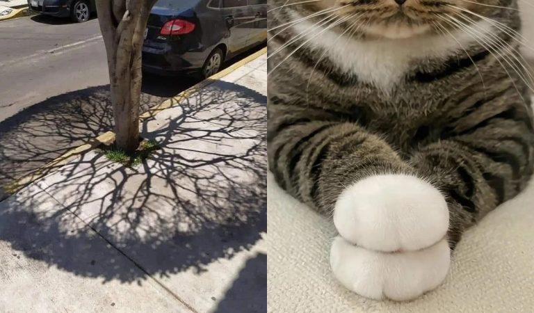 esteticky príjemné fotografie