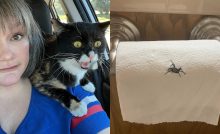 manželstvo je zábavná jazda