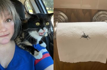 20 dôkazov, že s tým správnym človekom je manželstvo zábavná jazda