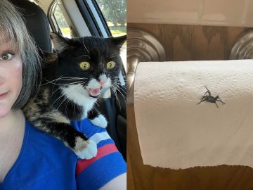 manželstvo je zábavná jazda