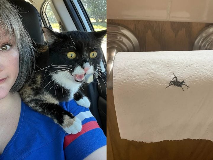 manželstvo je zábavná jazda