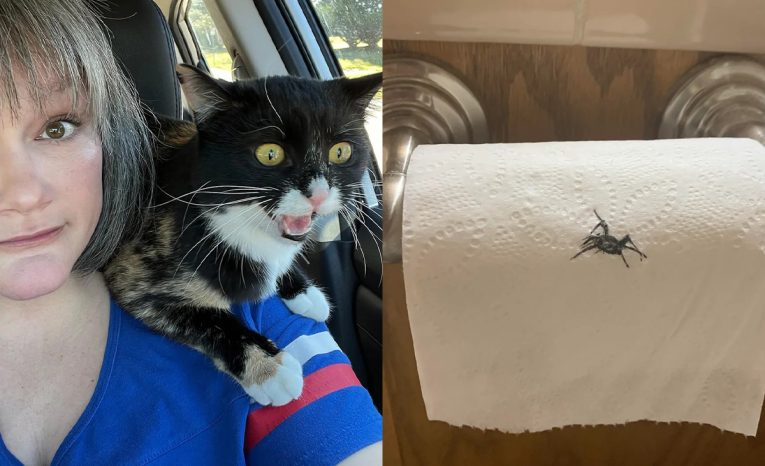 manželstvo je zábavná jazda