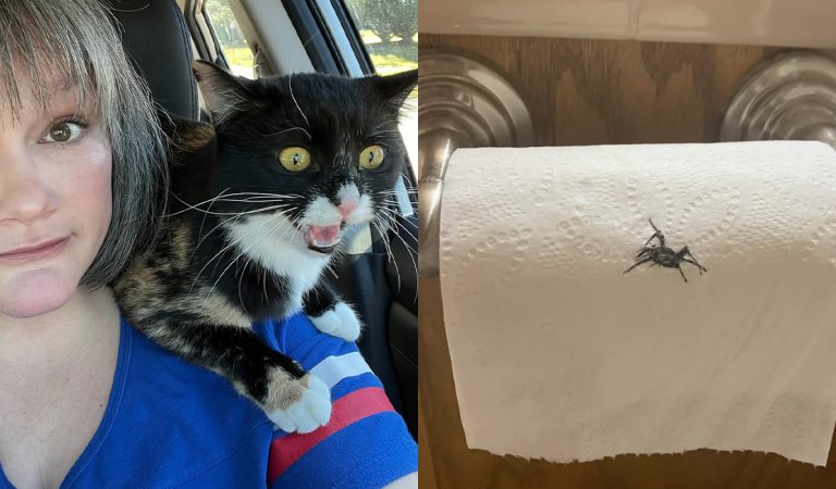 manželstvo je zábavná jazda