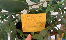 pasívne agresívne cedule