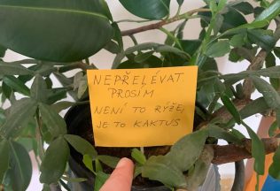 pasívne agresívne cedule