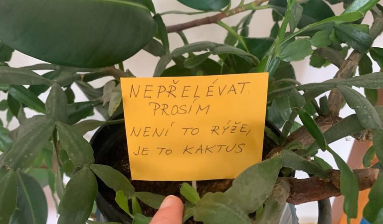 pasívne agresívne cedule