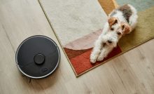 Smiali sa im, neverili im. Toto sú tie najhlúpejšie rady, aké kedy ľudia dostali, a prekvapivo fungovali