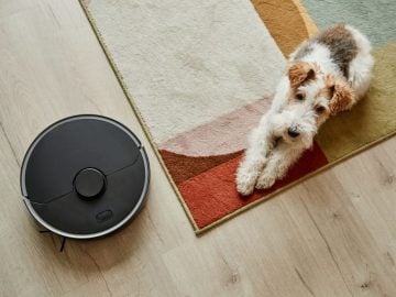 Smiali sa im, neverili im. Toto sú tie najhlúpejšie rady, aké kedy ľudia dostali, a prekvapivo fungovali