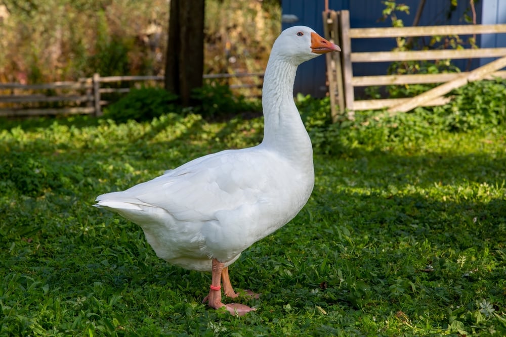 Ľudia sa delia o neuveriteľné príhody, ktorým je zaťažko uveriť