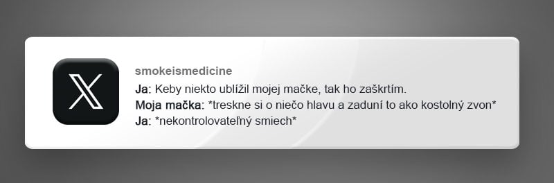 Tu máš 10 zábavných príspevkov o psoch a mačkách