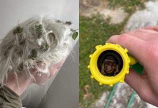 Záhradkárčenie v realite: 20 prípadov, ktoré sa zvrtli v malú katastrofu