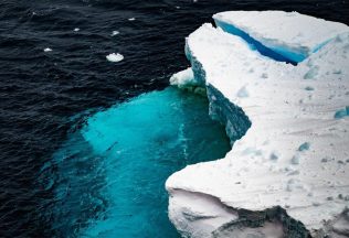 antarktída žralok objav vedci kamera