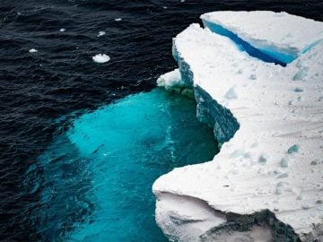 antarktída žralok objav vedci kamera