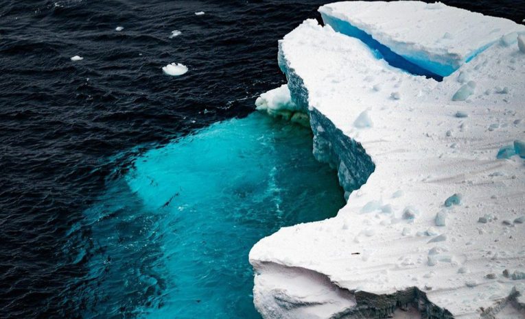 antarktída žralok objav vedci kamera