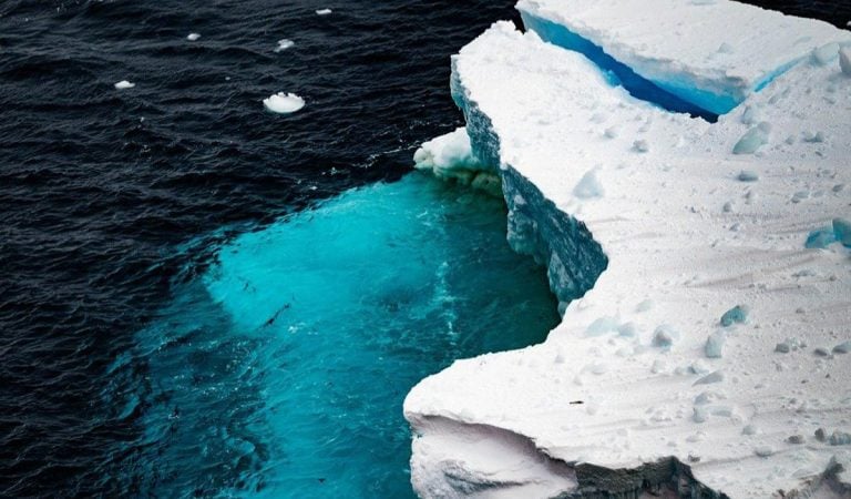 antarktída žralok objav vedci kamera