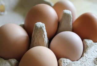 čalovec slovensko farma vajcia vajíčka vtáčia chrípka